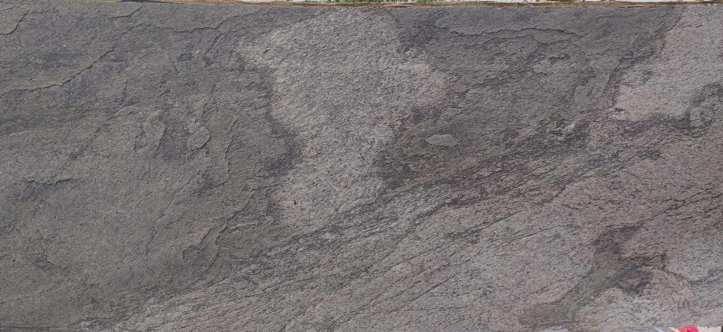 Silver Shine - Image 4